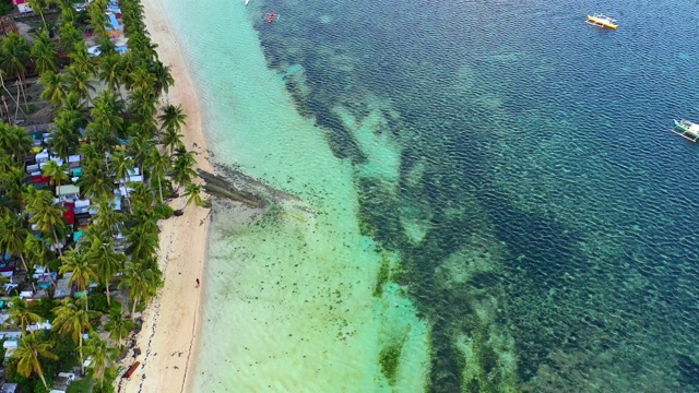 菲律宾Siargao海湾的船只。他们在一个棕榈树森林附近与海洋在背景-无人机4K鸟瞰图视频素材