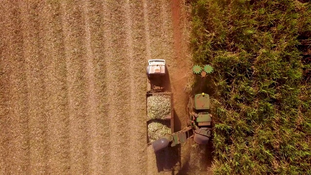 甘蔗收获种植园空中视频素材