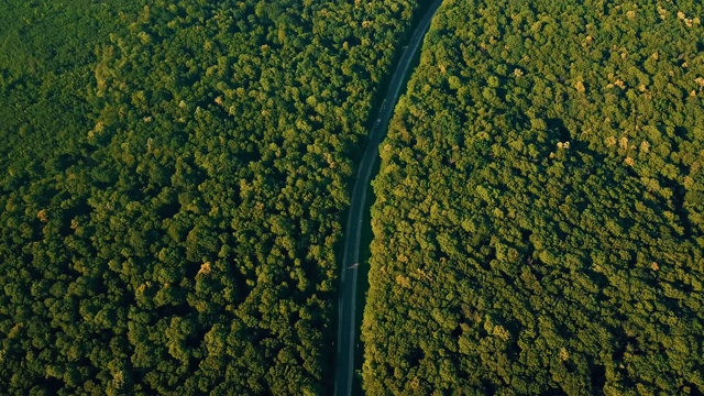 无人机拍摄的日落时分森林中美丽的道路，五彩缤纷的风景。视频素材