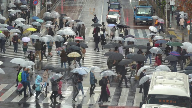 从日本东京的涩谷路口俯瞰视频素材