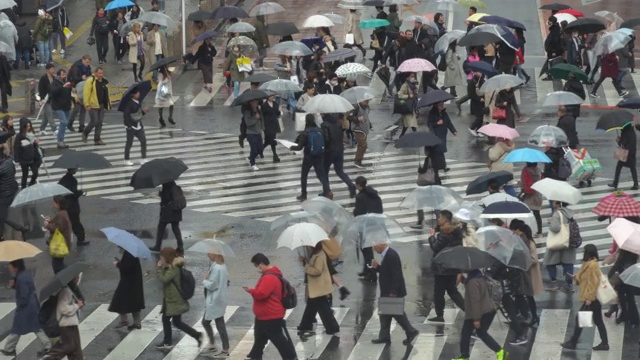 从日本东京的涩谷路口俯瞰视频素材