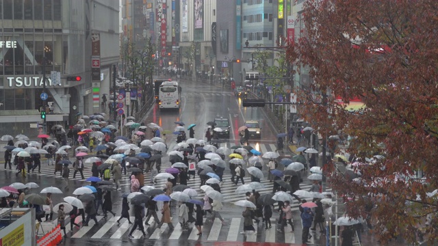 从日本东京的涩谷路口俯瞰视频素材