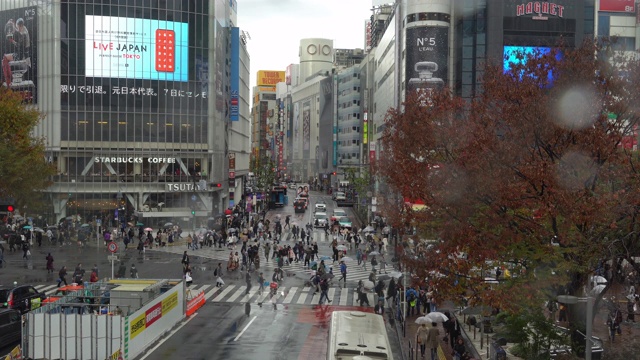 从日本东京的涩谷路口俯瞰视频素材