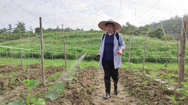 一位亚洲华人女农民在农场喷洒植物消毒视频素材