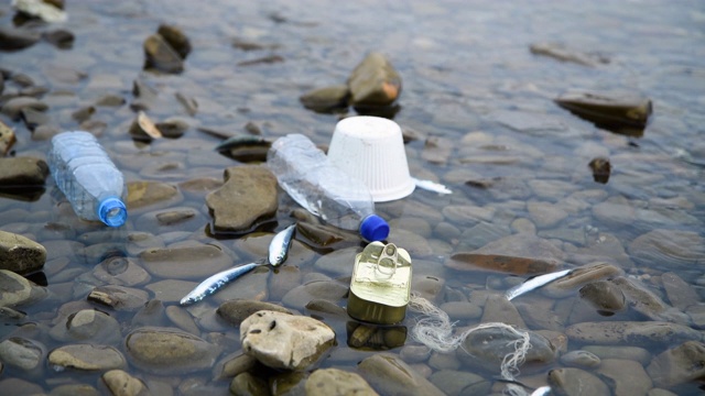 海水上漂浮着垃圾和死鱼视频素材