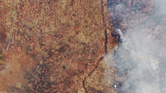 鸟瞰图。在干旱炎热的天气里，春天的干草会燃烧。丛林火与烟。消防车，消防车在消防行动。野火毁草。生态问题及空气污染视频素材