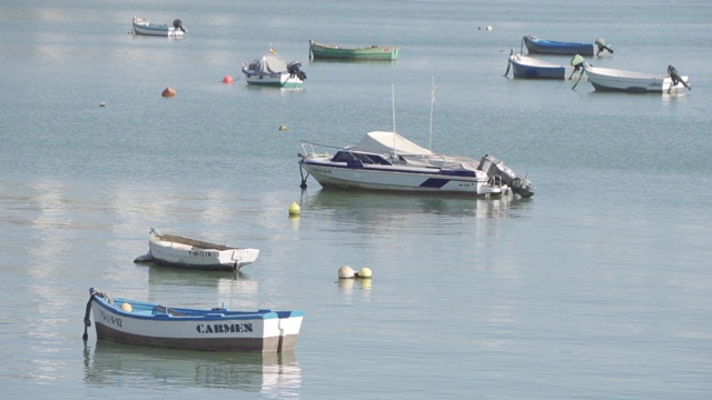 船停泊在海湾里视频素材