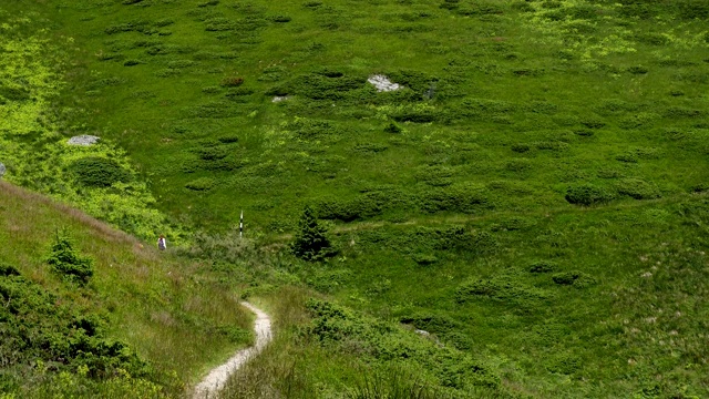 活跃的家庭妈妈和女儿在山上徒步旅行视频素材