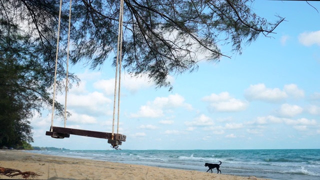 热带海滩上的秋千，蓝天为背景视频素材