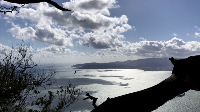 在直布罗陀岩石旁飞行的海鸥视频素材