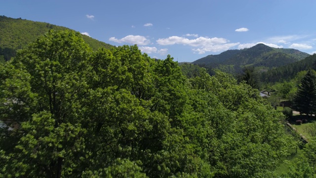 Florac出现在树后，Lozère，法国视频素材