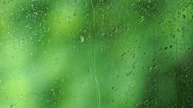 玻璃窗外雨滴的特写。视频素材