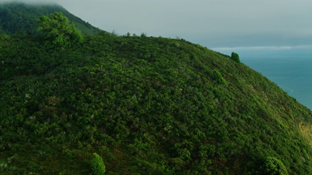 无人机飞越郁郁葱葱的山坡，在大苏尔发现PCH视频素材