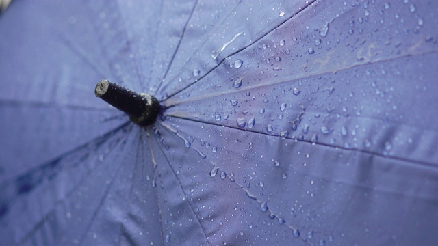 雨落在伞上的特写视频素材