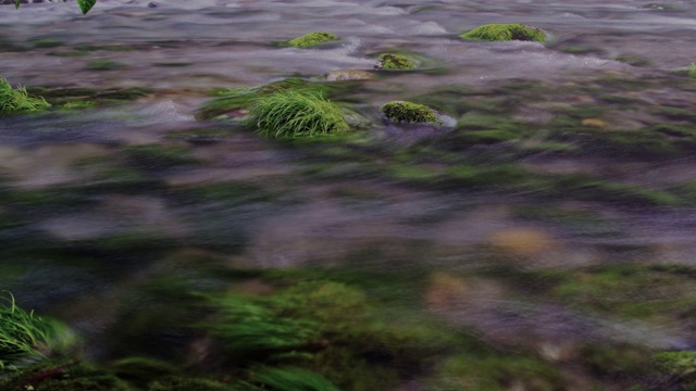 清澈的日本溪流，恩原河视频素材