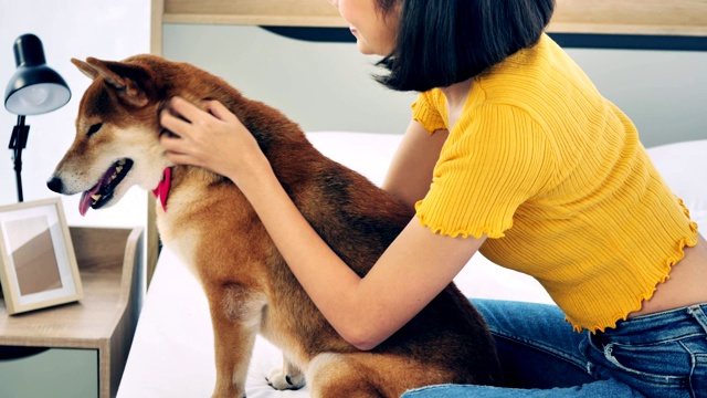 年轻女子玩她的日本柴犬在卧室里视频素材