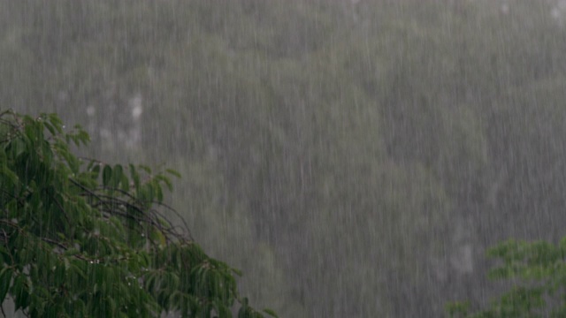 雨季下雨/印度北方邦Kannauj视频素材