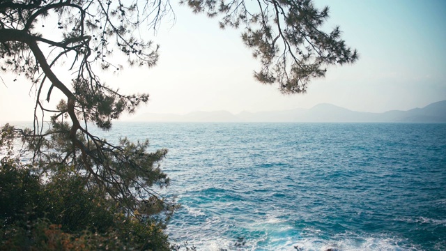 碧波荡漾的大海和松树嶙峋的海边。视频素材