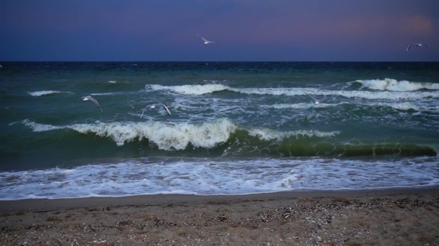 夏天海滩上的海浪。缓慢的运动。视频素材