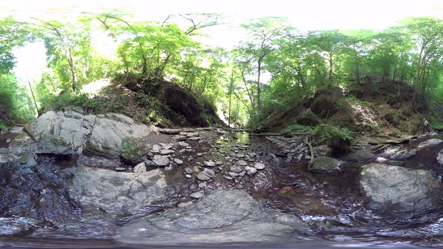 360VR，浪漫峡谷，森林小溪视频素材