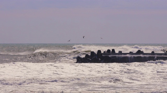 大浪涌向海滩视频素材