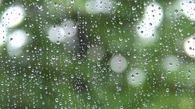 雨点从窗玻璃上滚下来。视频素材