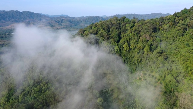 热带雨林和云层的空中塌陷视频素材