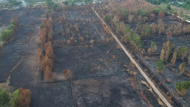 森林大火后，地面被灰烬覆盖的鸟瞰图。视频素材