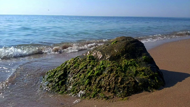 蓝色的海浪拍打着长满海藻的岩石。视频素材