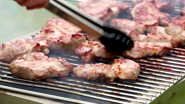 夏天在烤架上烤羊肉串和烤肉视频素材