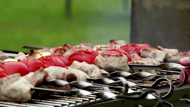 夏天在烤架上烤羊肉串和烤肉视频素材