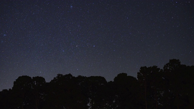 森林上空的星星时光流逝视频下载