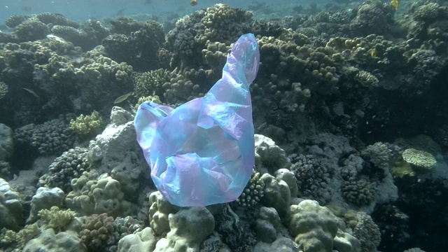 废弃的蓝色塑料袋漂浮在水面下，背景珊瑚礁上，一群鱼在附近游动。塑料垃圾环境污染问题。水下拍摄，塑料污染视频素材