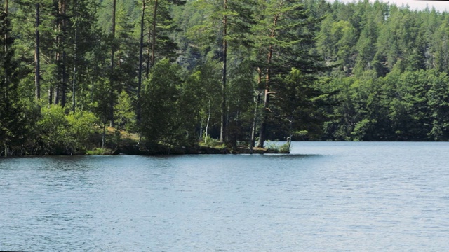 在阳光明媚的夏日湖上的美丽景色。绚丽多彩的自然背景。瑞典,欧洲。视频素材