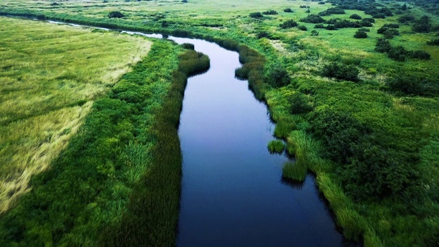 绕组运河湿地视频素材