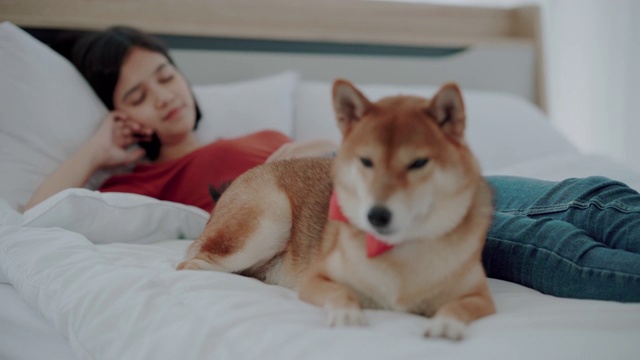 亚洲女人和狗在床上视频素材