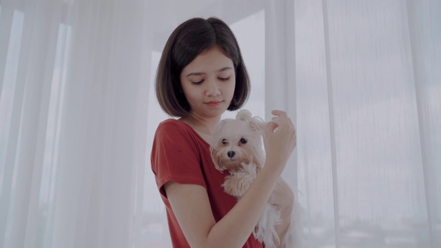 年轻女子和西施犬在床上视频素材