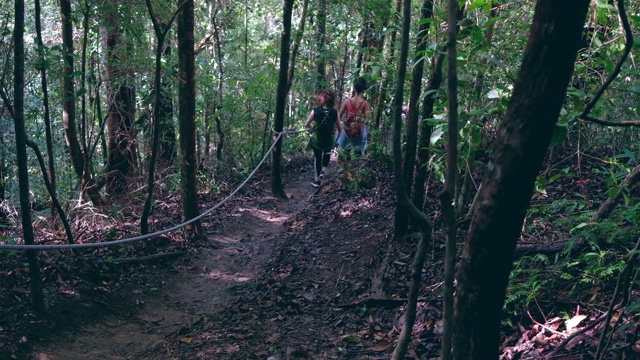 徒步旅行的两个女孩走在热带雨林的丛林中，背包抓住坚固的绳子在人行道上从后视镜视频下载