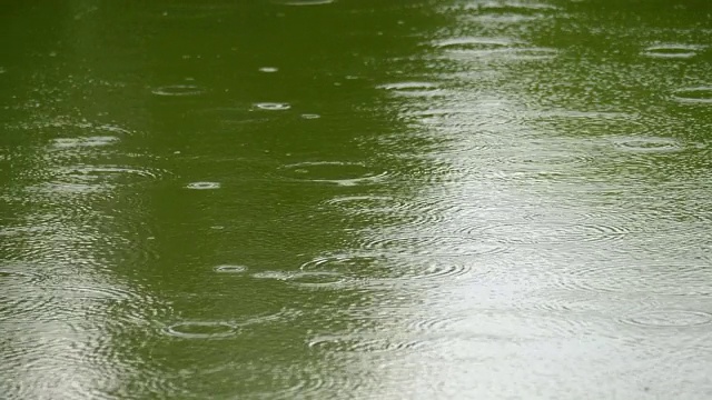 雨中的湖。视频素材