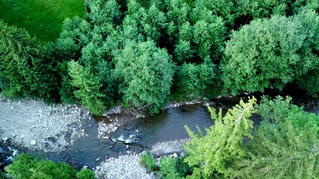 鸟瞰乡村夏天河边青松林中的木屋。乌克兰喀尔巴阡山视频素材