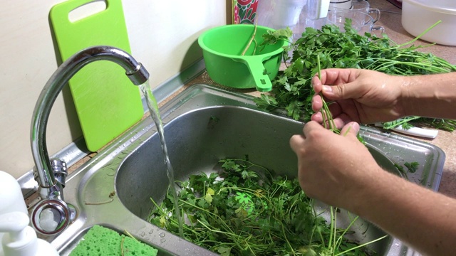 厨房水槽里有很多欧芹。这个人把它分类，然后在水流下清洗。清洁把它放在水槽的右边。视频素材