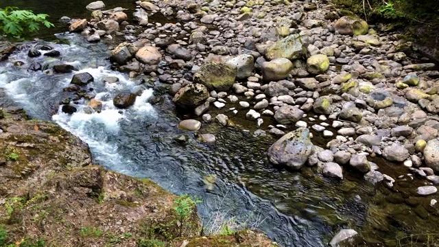 喀斯喀特山脉的山区河流视频素材