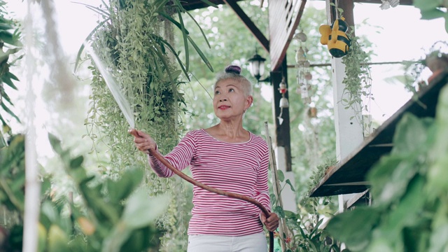 资深潮女浇水的植物stock VDO视频素材