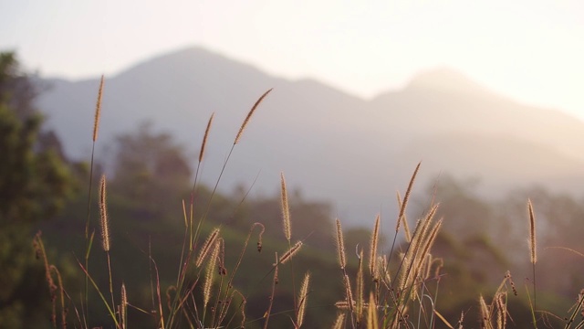 日出时，印度芒纳尔的山脉和丘陵景观视频素材