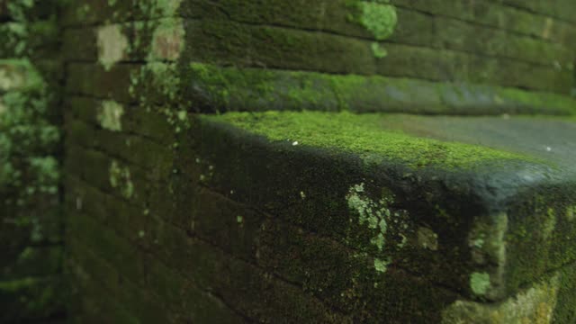 近距离的苔藓石头在寺庙与机架焦点视频素材