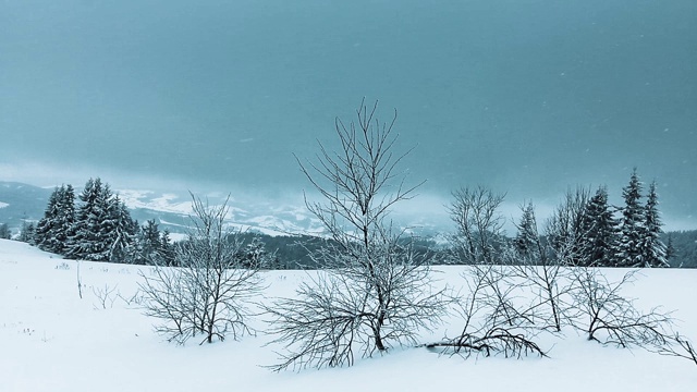 美丽的冬季景观和白雪覆盖的树木。冬天的山。视频素材