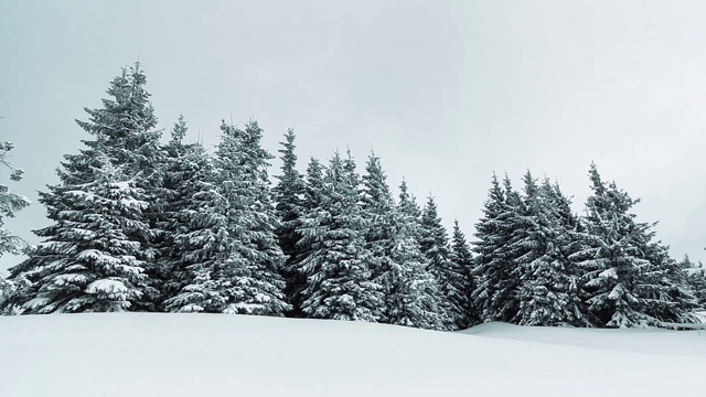 美丽的冬季景观和白雪覆盖的树木。冬天的山。视频素材