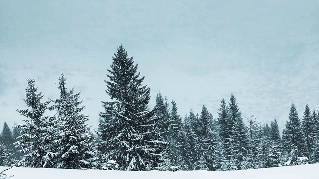 美丽的冬季景观和白雪覆盖的树木。冬天的山。视频素材