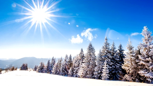 山冬季景观。云杉森林覆盖雪在冬季景观视频素材