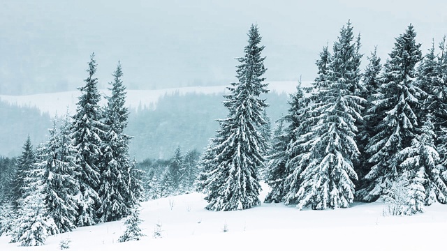 美丽的冬季景观和白雪覆盖的树木。冬天的山。视频素材